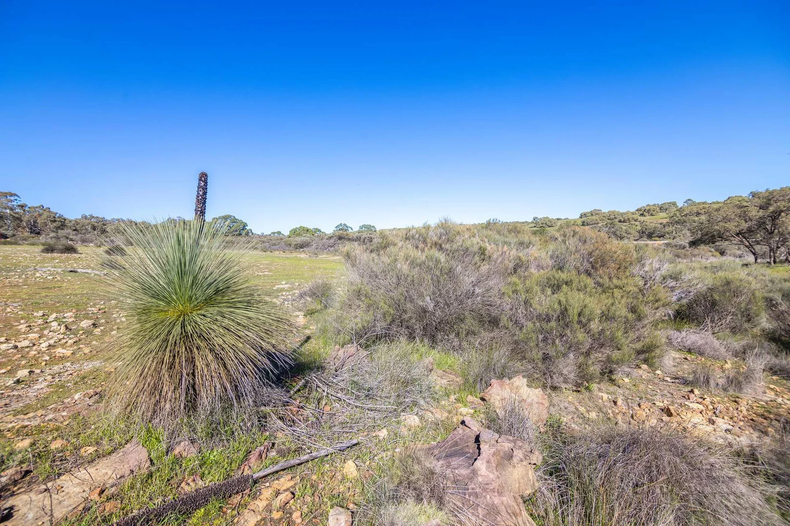 Additional image 34 of 55 Pen Road, Warradarge WA 6518