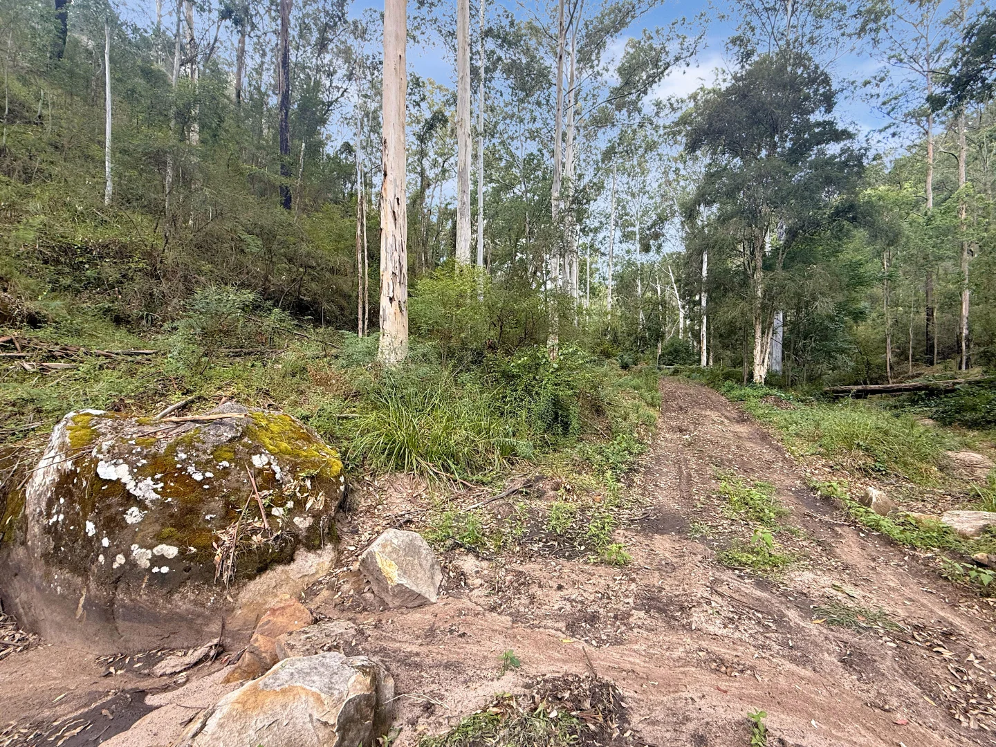 Additional image 19 of 946 Stockyard Creek Road, Paynes Crossing NSW 2325