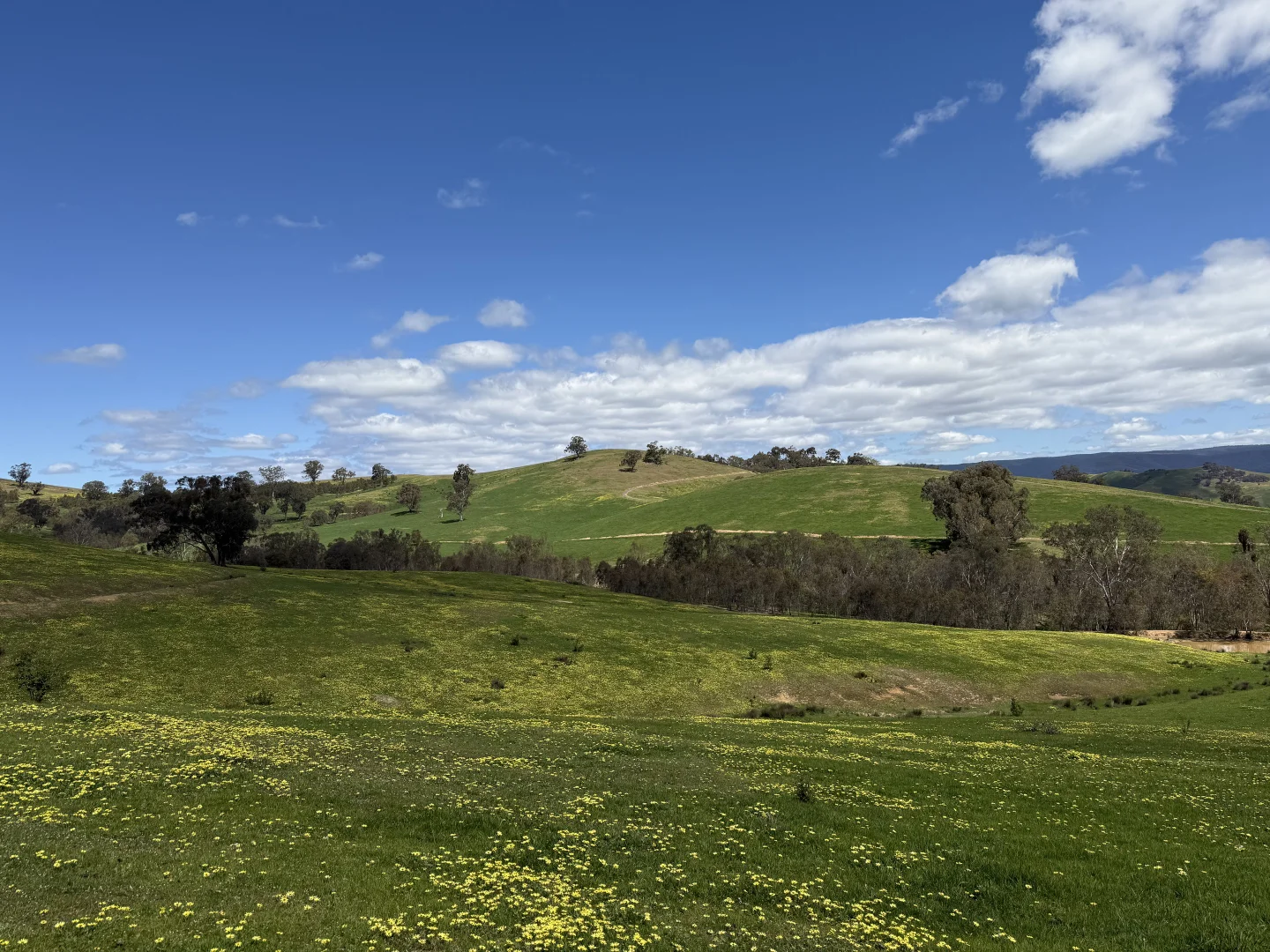 Additional image 2 of 85 Halls Flat Road, Alexandra VIC 3714