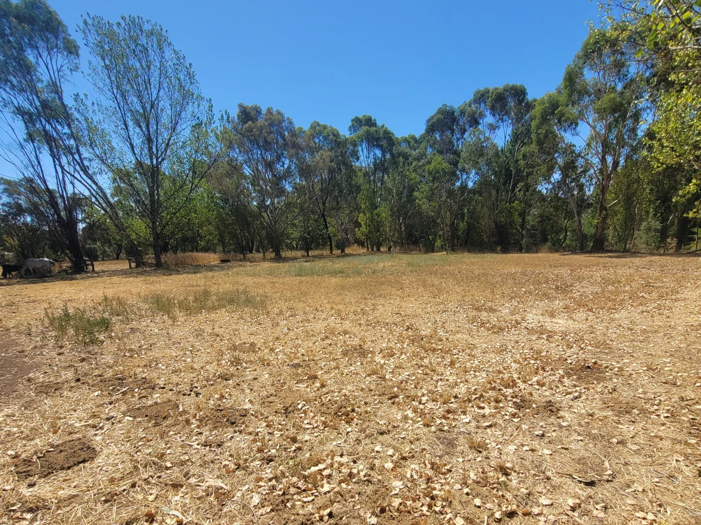 Additional image 2 of 5 Rowe Street, Mansfield VIC 3722