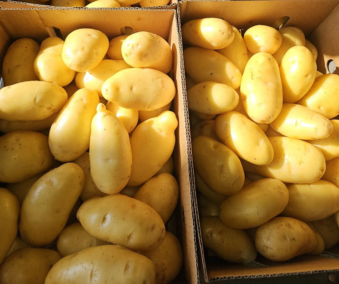 Additional image 19 of 190 Riverview Road, Calavos QLD 4670