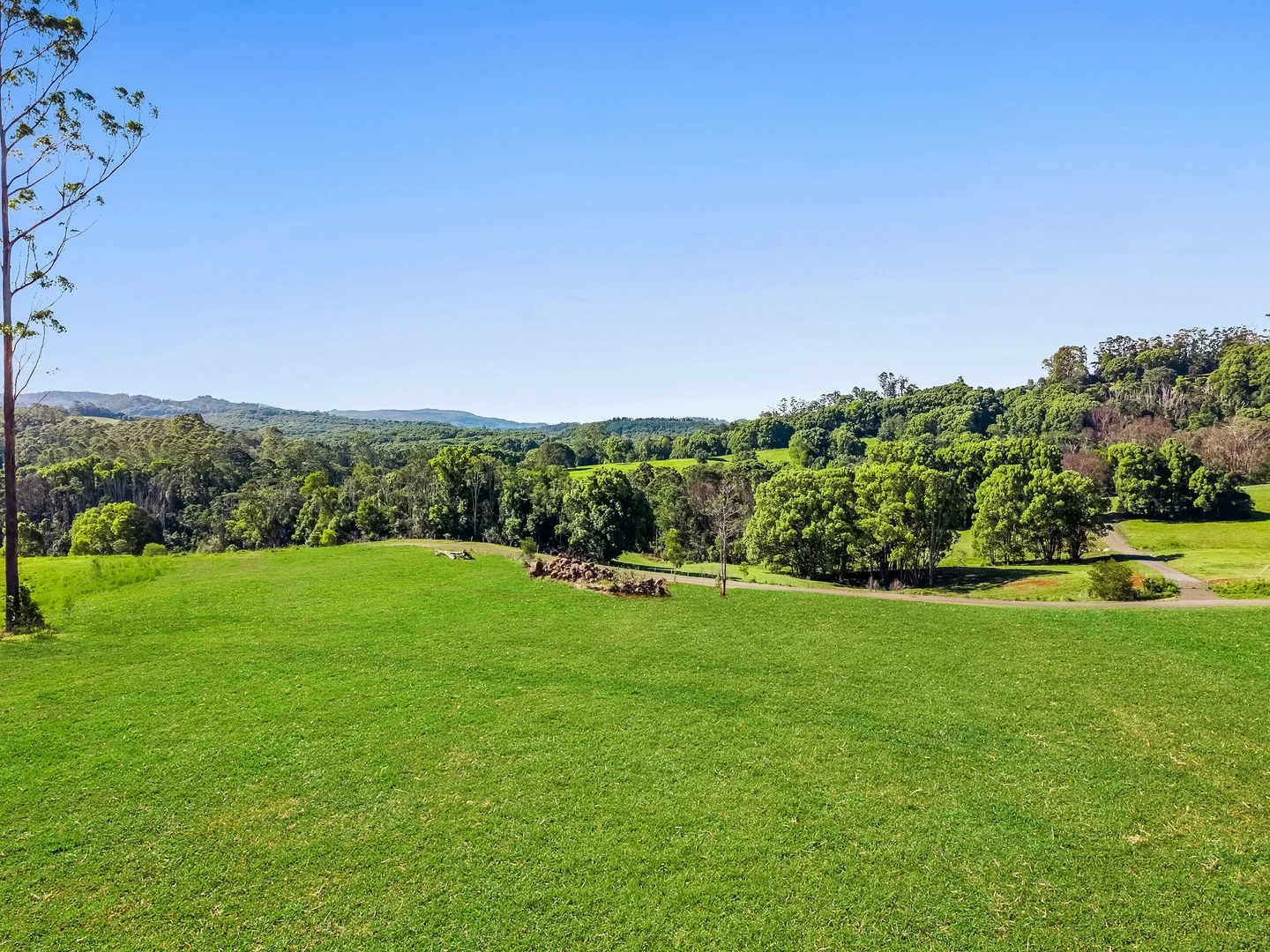 Additional image 27 of 315 Coorabell Road, Coorabell NSW 2479