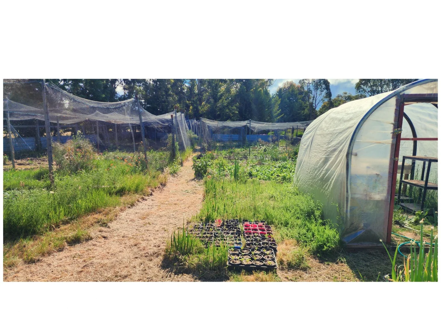 Additional image 15 of 71 Thornhill Lane, Elphinstone VIC 3448