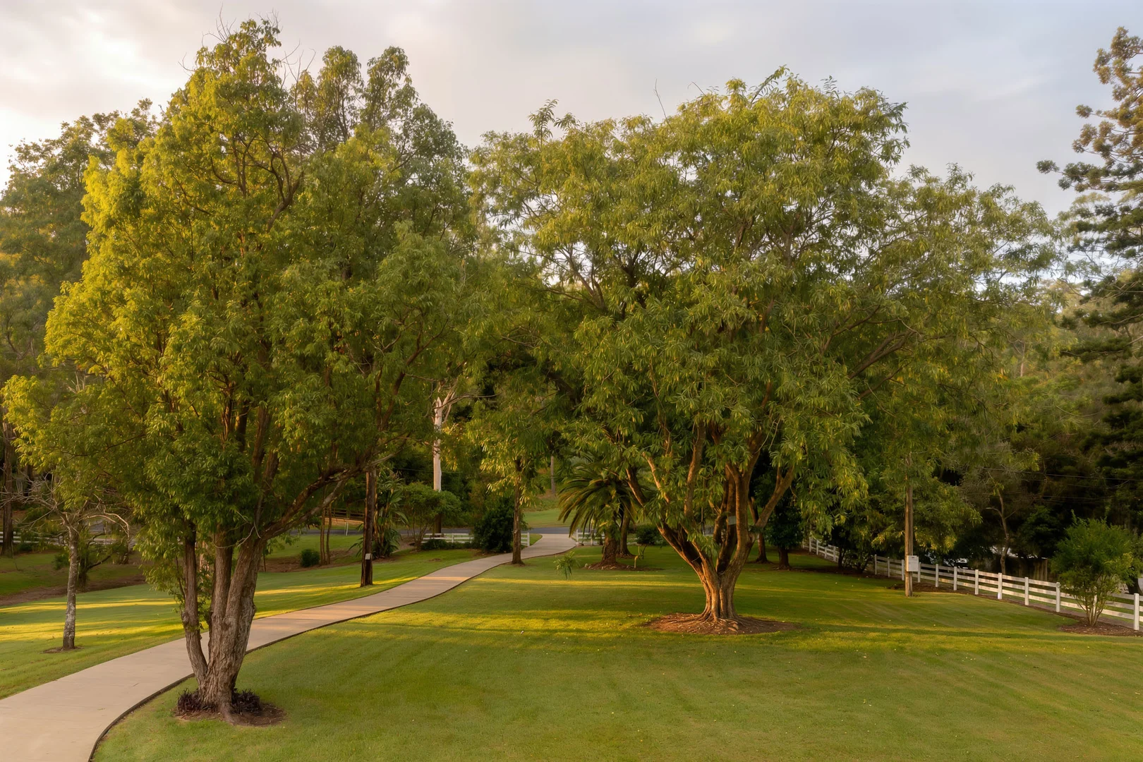 Additional image 5 of 130 Savages Road, Brookfield QLD 4069