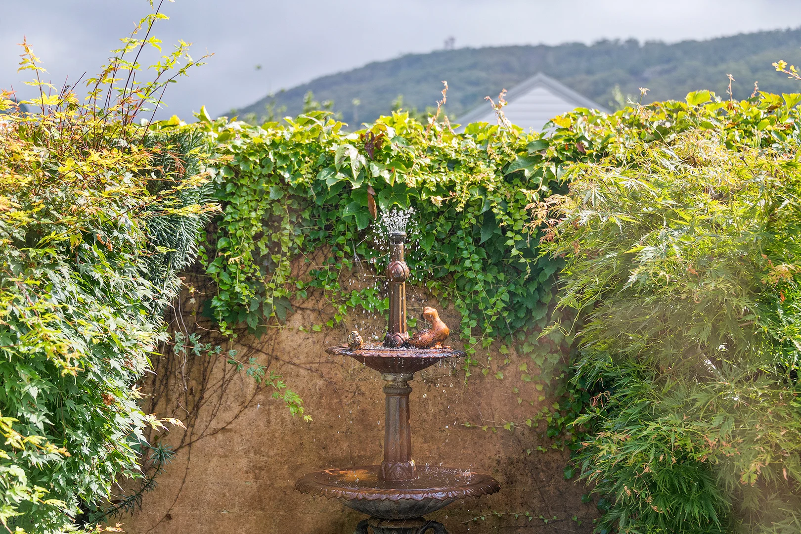 Additional image 17 of 2/36 Shepherd Street, Bowral NSW 2576