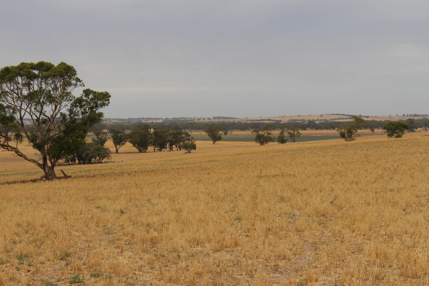 Additional image 21 of 2212 CAREW ROAD, Mundulla SA 5270