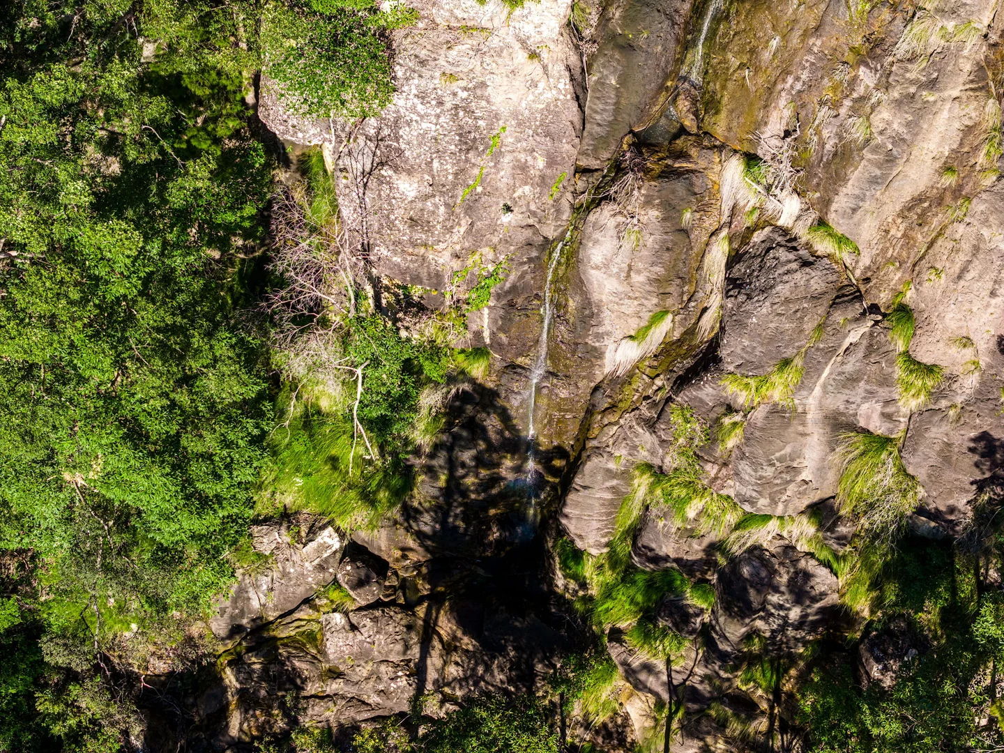 Additional image 28 of 210 Frasers Road, Mullumbimby Creek NSW 2482