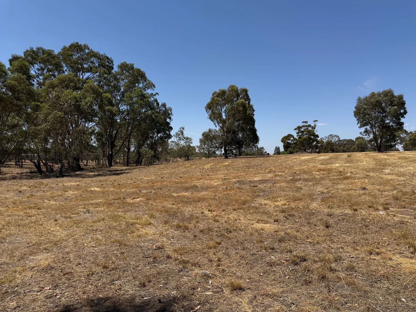 Additional image 3 of 20 Du Bourg Road, Bowenvale VIC 3465