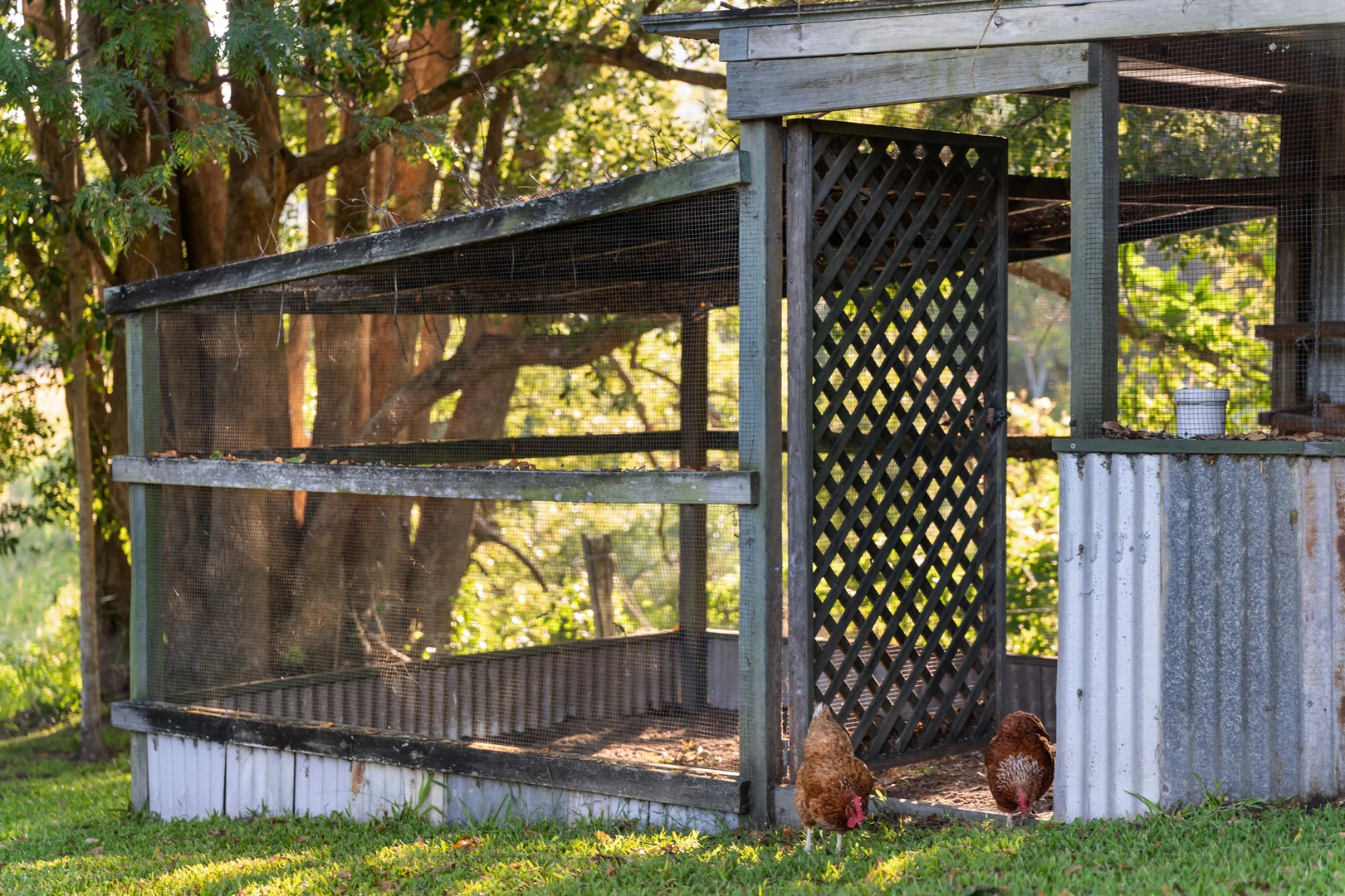 Additional image 22 of 79 Musavale Rd, Eerwah Vale QLD 4562