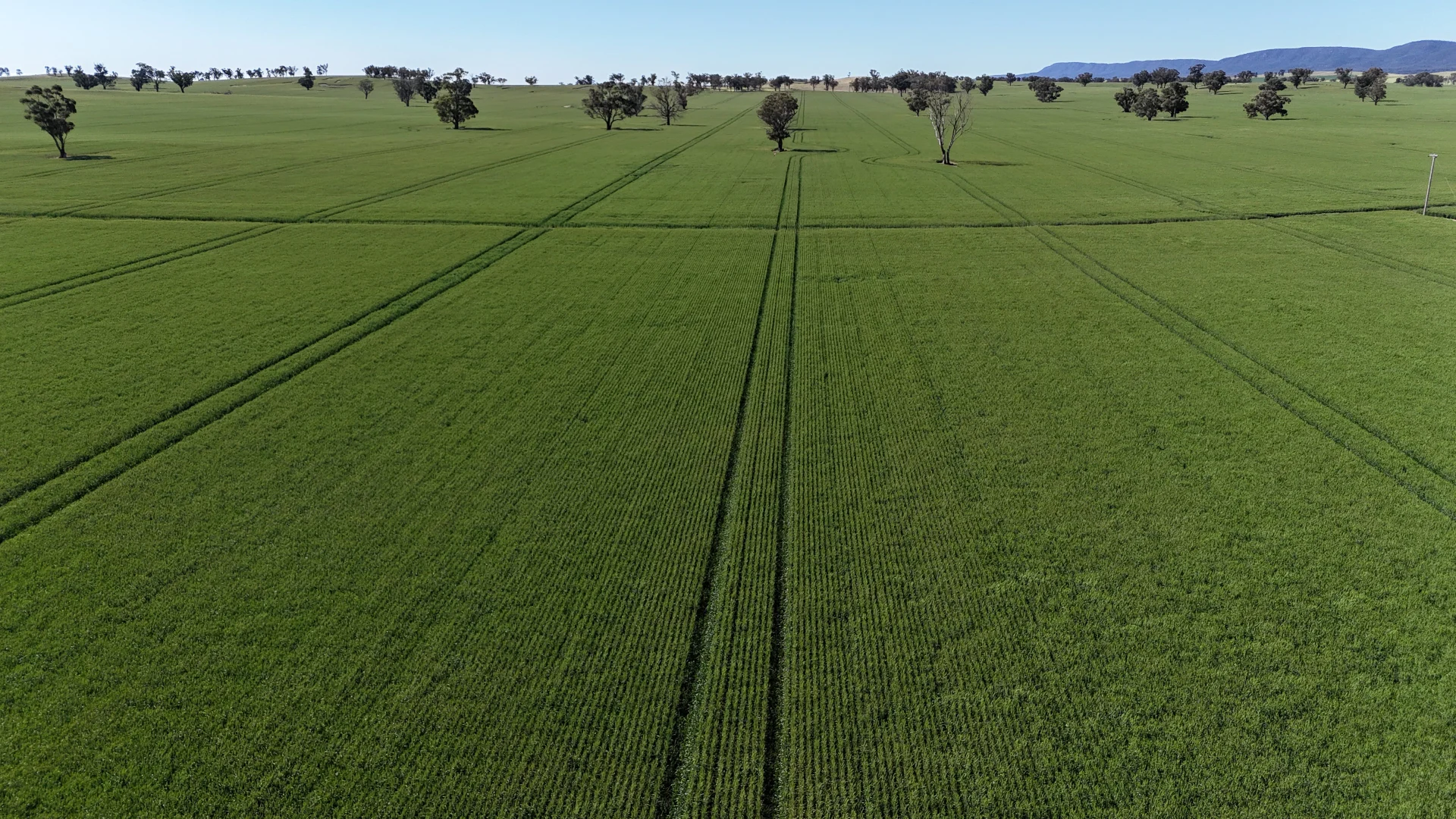 Additional image 7 of 861 Kadina Road, Parkes NSW 2870