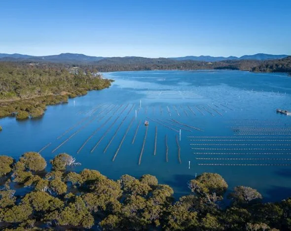 Additional image 14 of 25 Landing Road, Broadwater NSW 2549