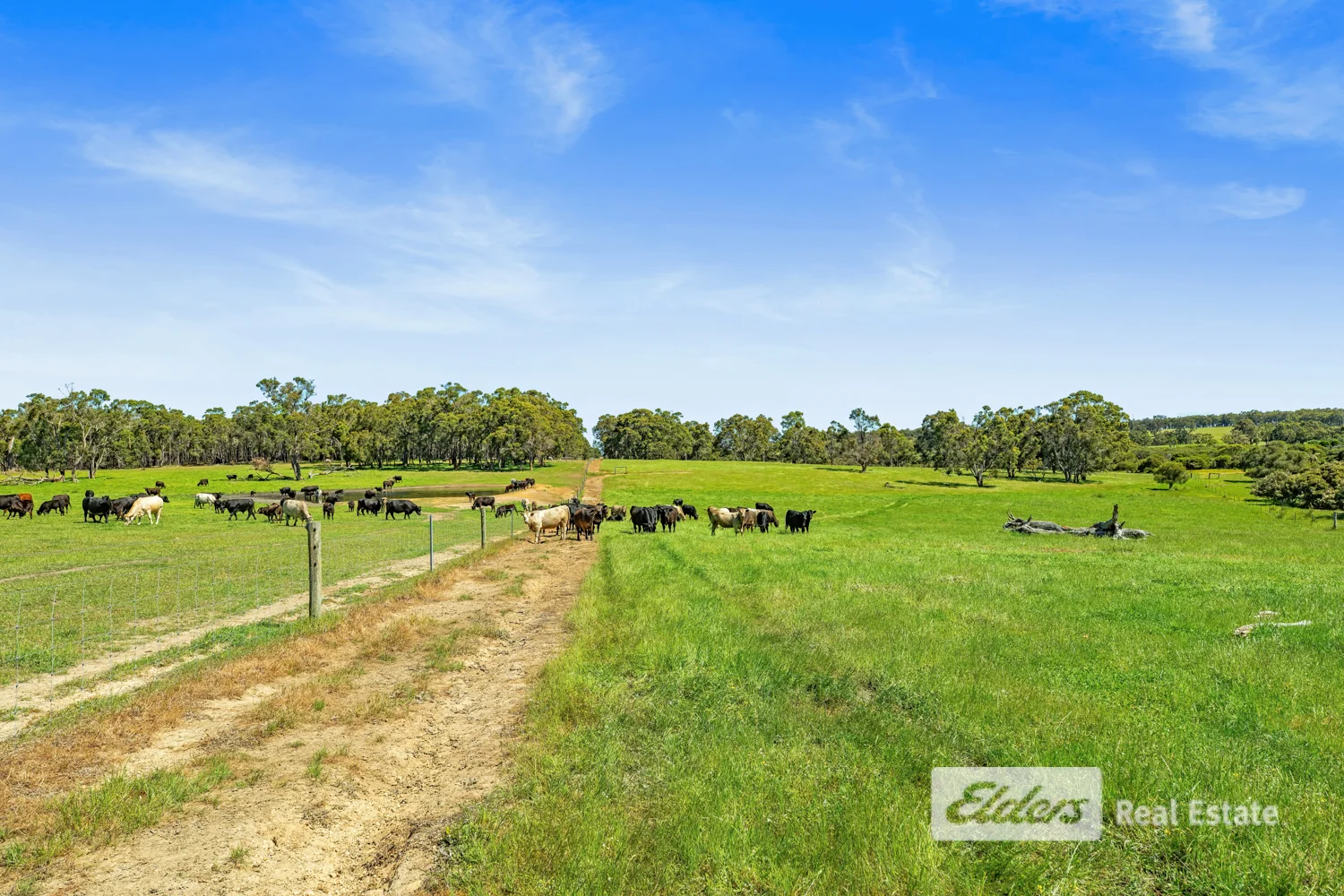 Additional image 14 of Lot 1443 Wallinger Road, Narrikup WA 6326