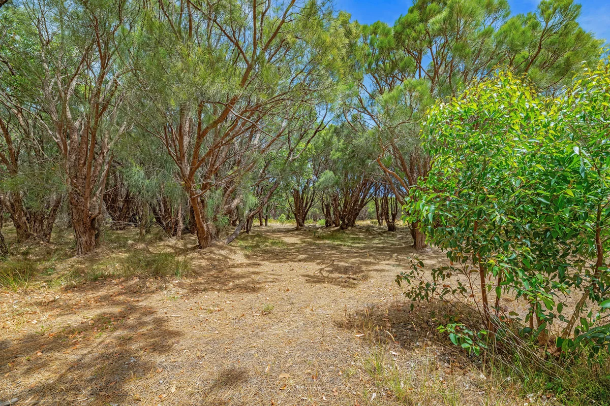 Additional image 17 of Lot 1002 Dragon Road, Lange WA 6330