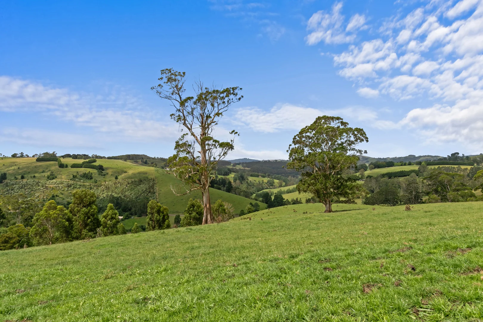 Additional image 30 of 265 Foster Road, Boolarra South VIC 3870