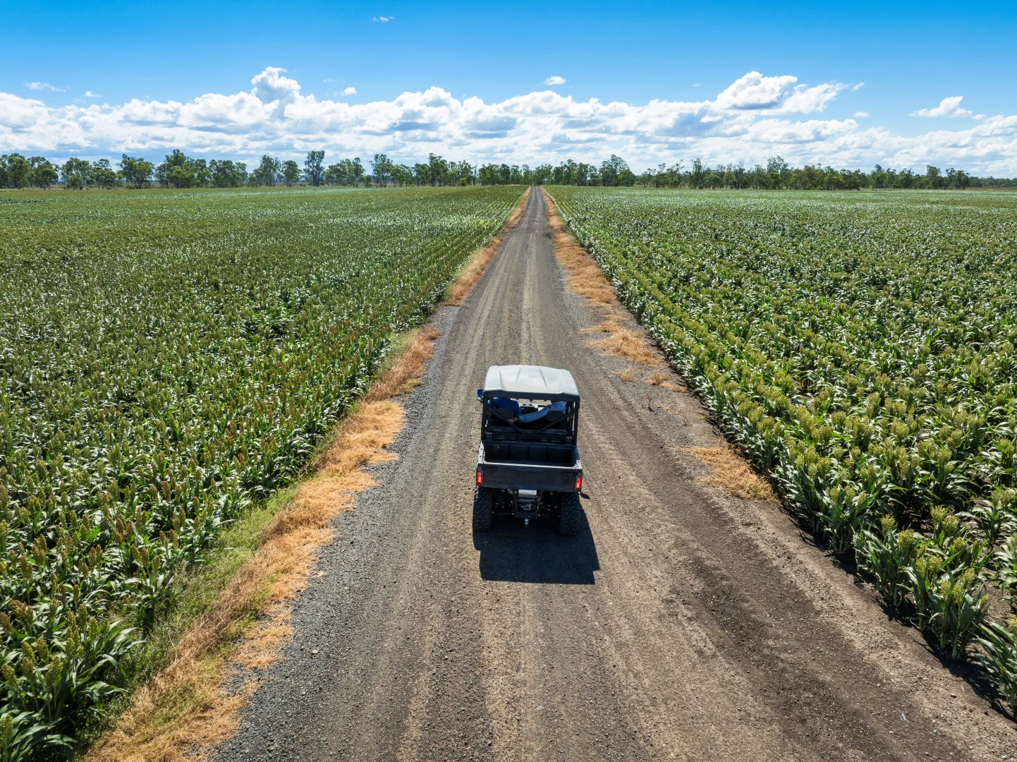 Additional image 17 of 1989 Millmerran Leyburn Road, Tummaville QLD 4352