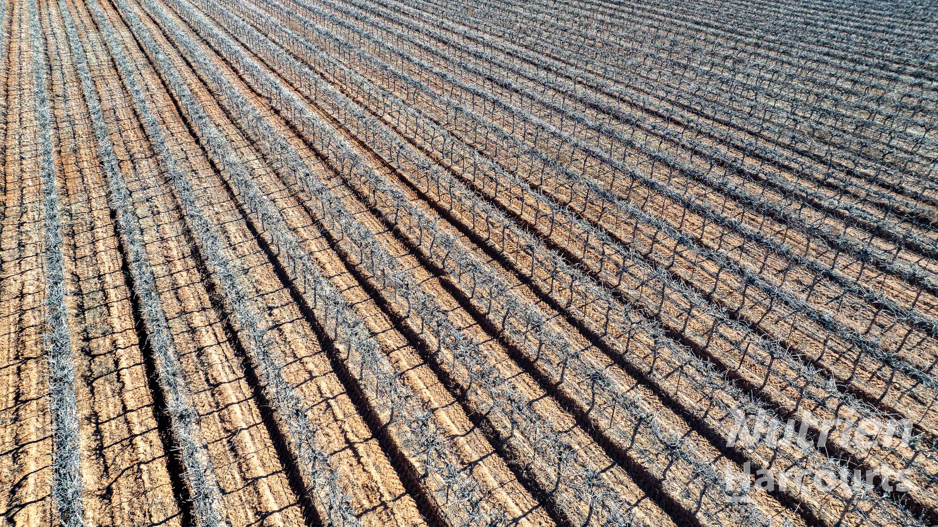 Additional image 18 of 126 Riverboat Road, Cadell SA 5321