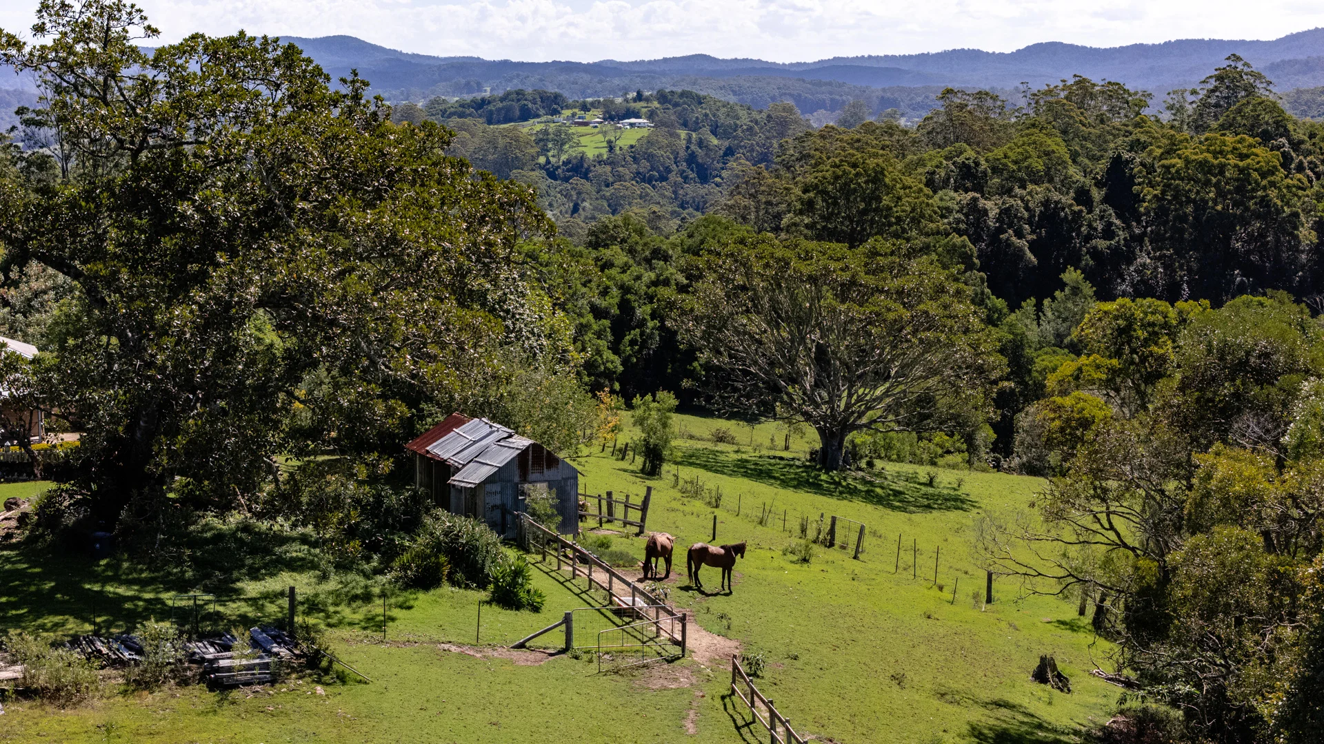 Additional image 17 of 196 Tilbaroo Road, Elands NSW 2429