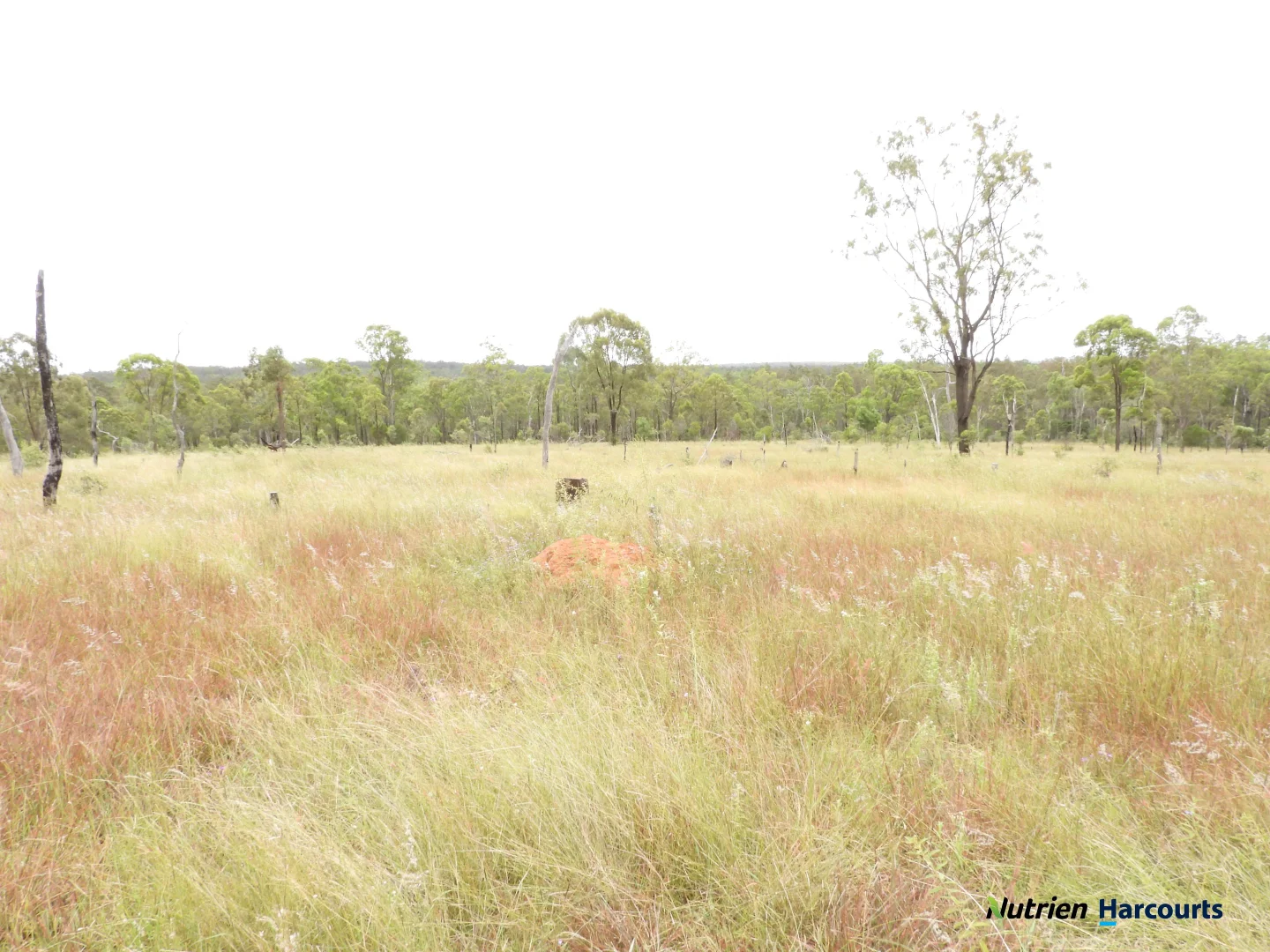 Additional image 23 of 754 Pedersens Road, Dangore QLD 4610