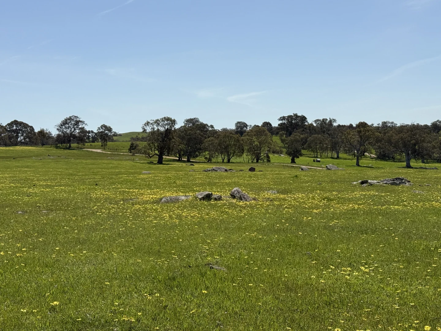 Additional image 15 of Lot 115 Mcgormans Road, Tungkillo SA 5236