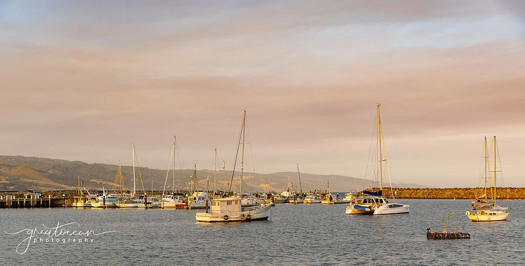 Additional image 7 of 1 Seeberg Court, Apollo Bay VIC 3233