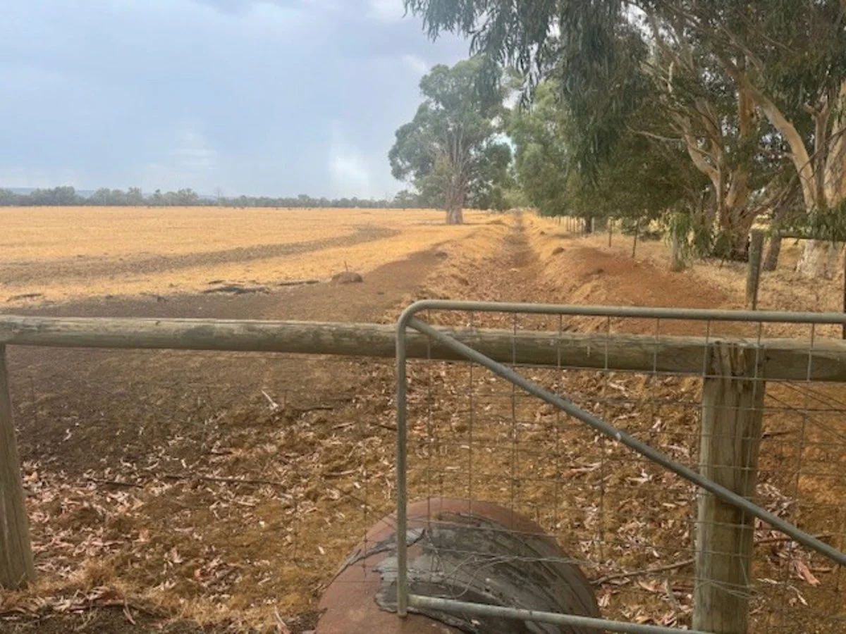 Additional image 10 of 321 Lightbody Road, Mardella WA 6125