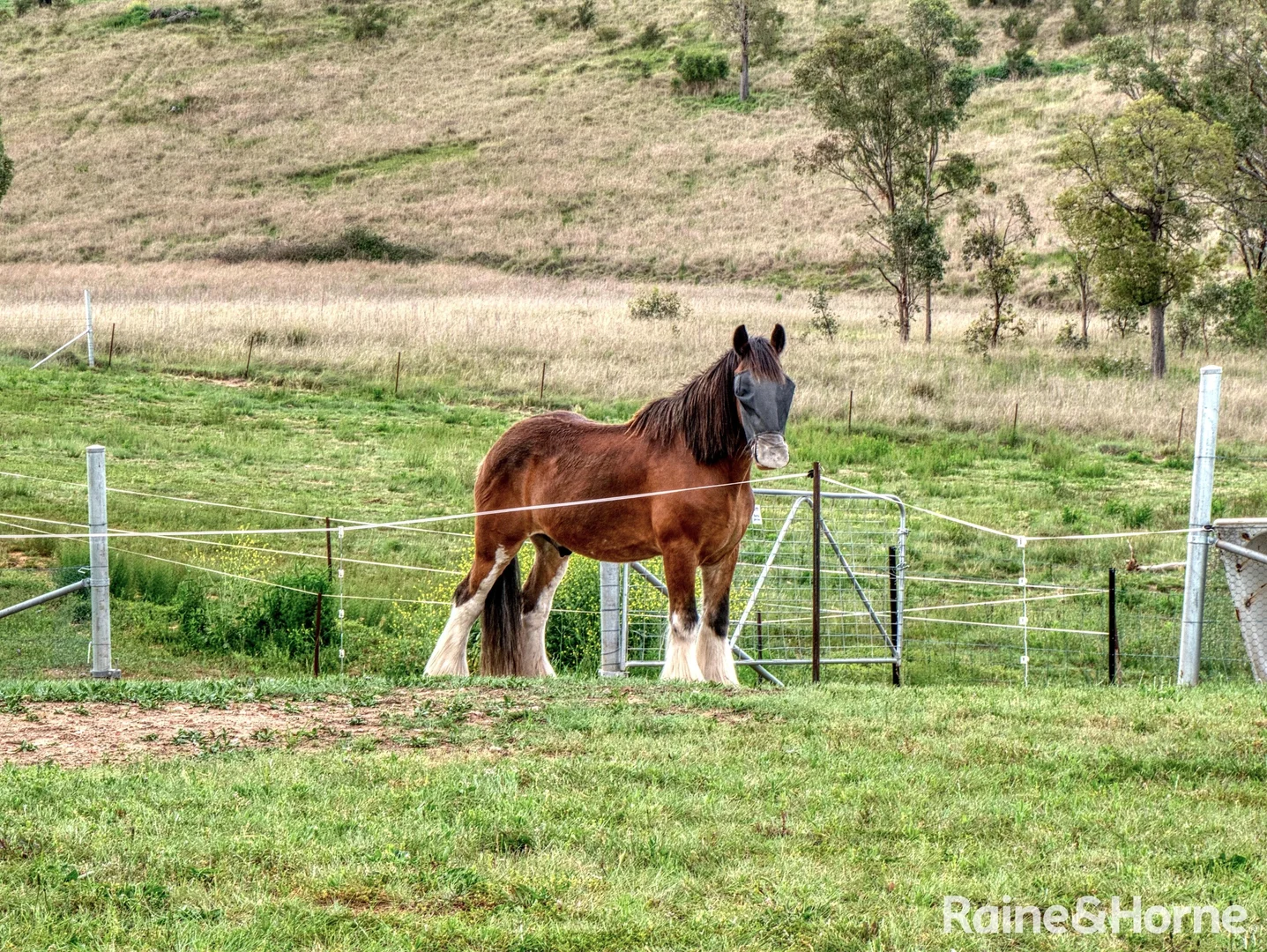 Additional image 21 of 129 Crown Station Road, Glen Davis NSW 2846