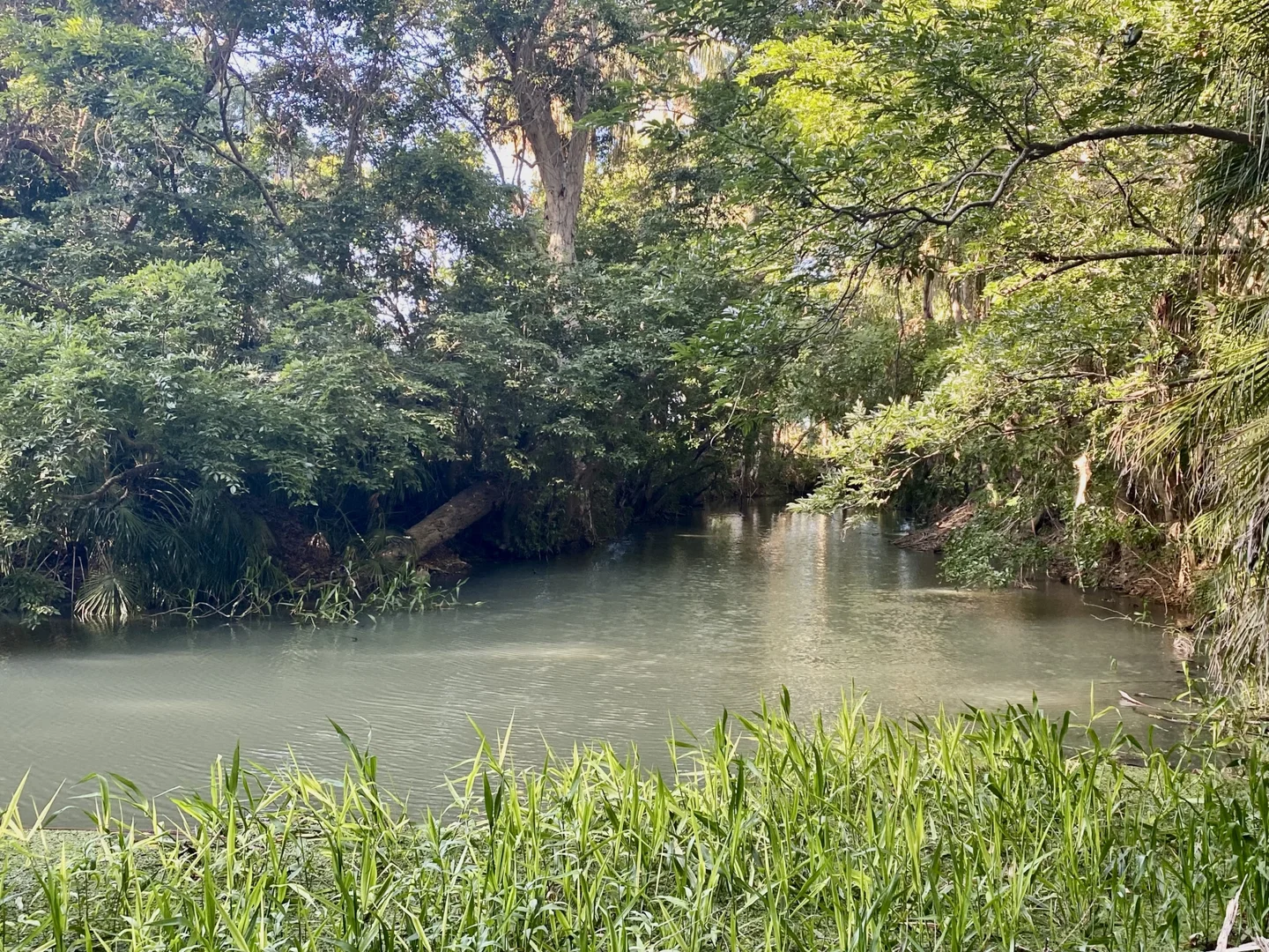 Additional image 30 of 312 Smith Road, Shirbourne QLD 4809