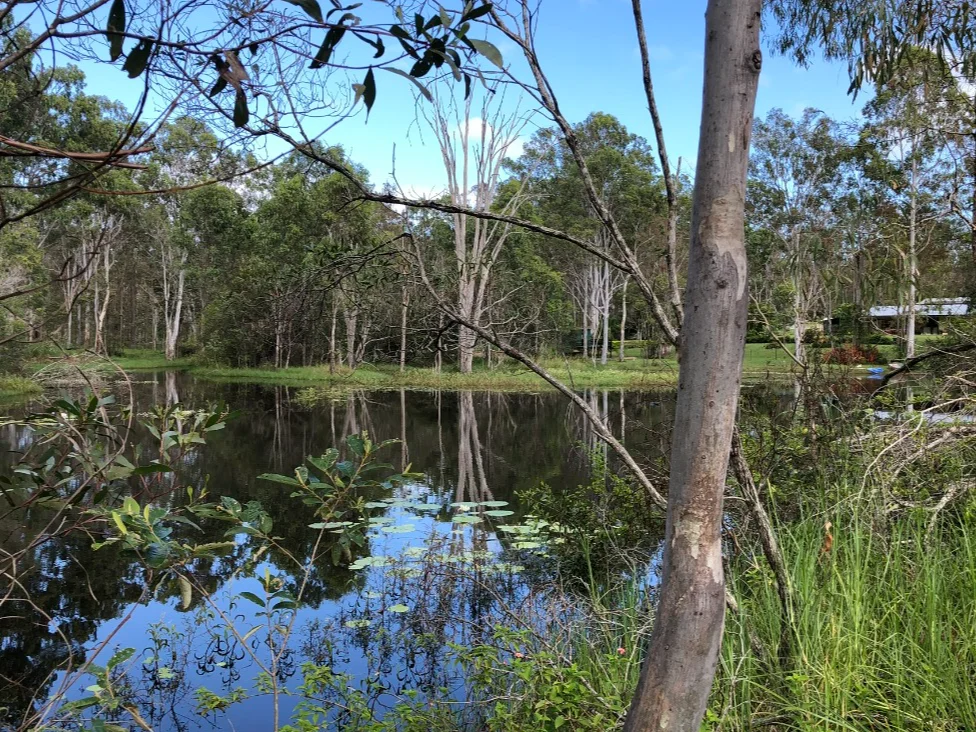 Additional image 5 of 847 Old Gympie Road, Paterson QLD 4570