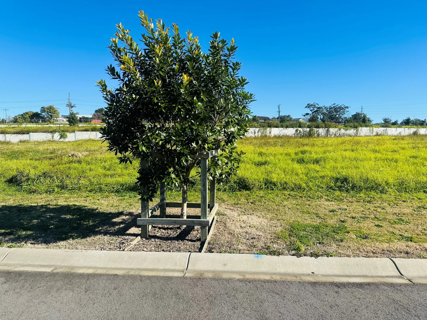 Additional image 4 of 212 Bright Circuit, Dora Creek NSW 2264