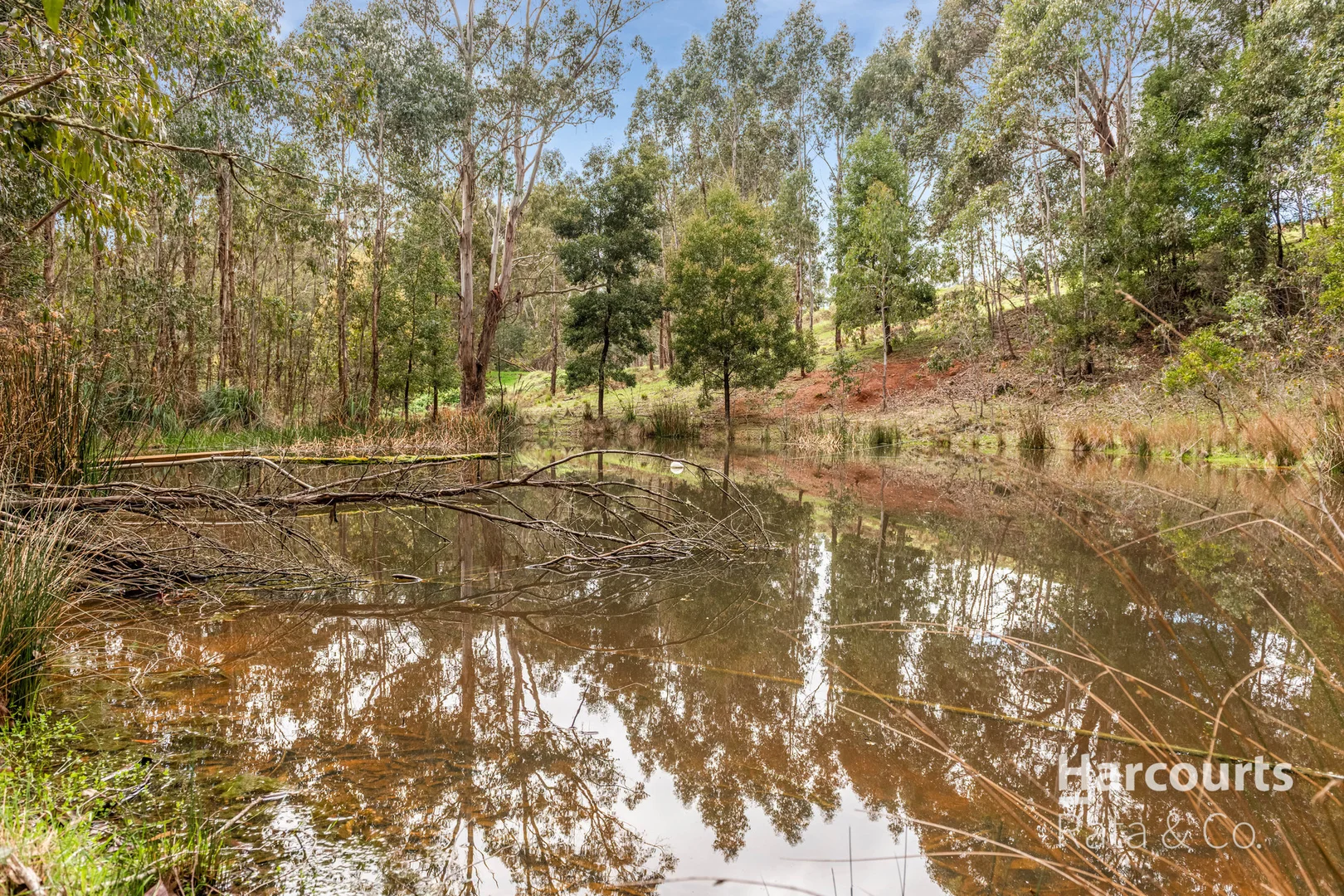 Additional image 16 of 1459 Daylesford-Trentham Road, Lyonville VIC 3461
