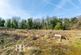 Additional image 7 of Dark Lane, Lathom, Ormskirk
