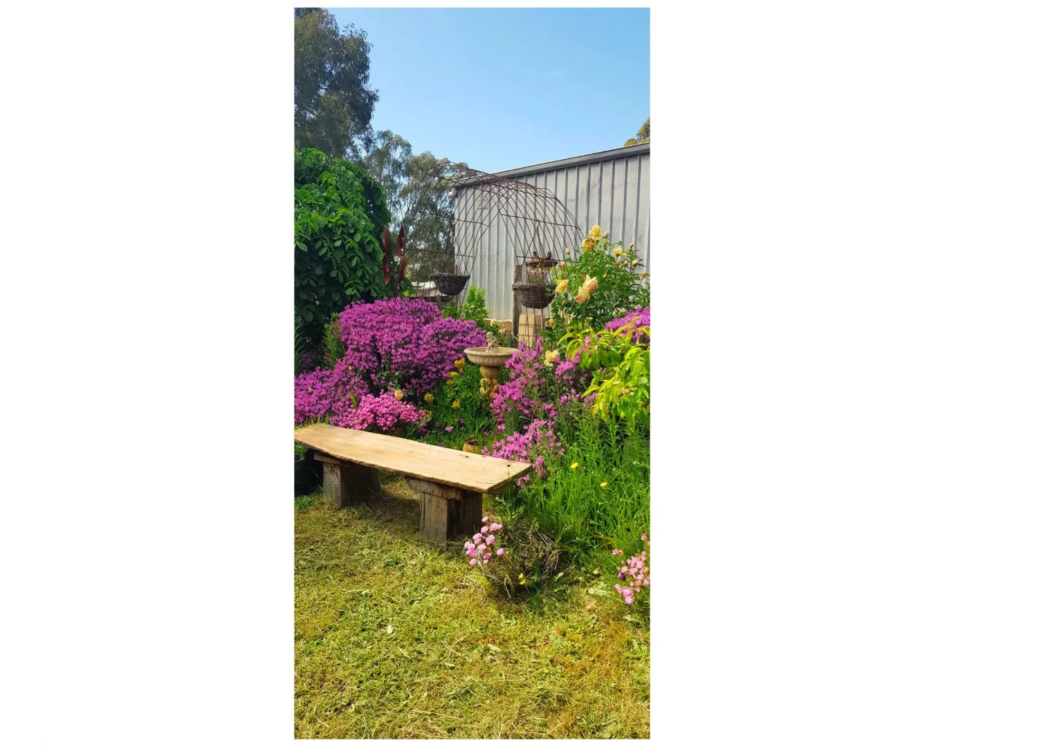 Additional image 19 of 71 Thornhill Lane, Elphinstone VIC 3448