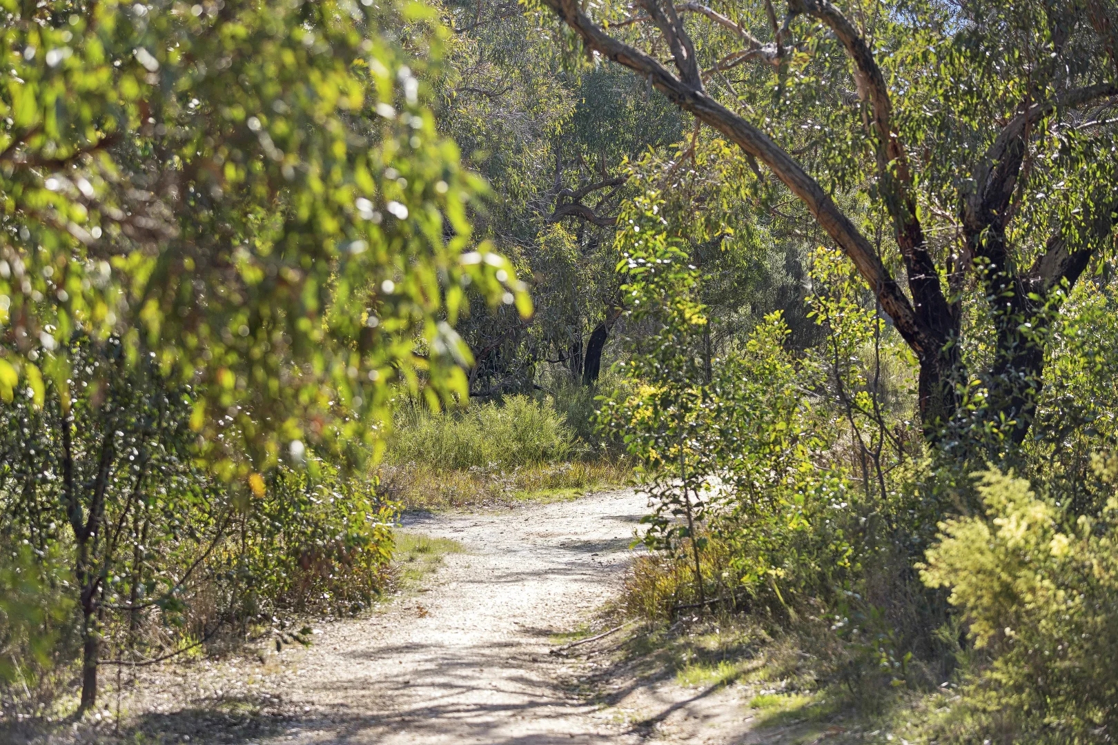 Additional image 7 of 7 Holding Court, Anglesea VIC 3230