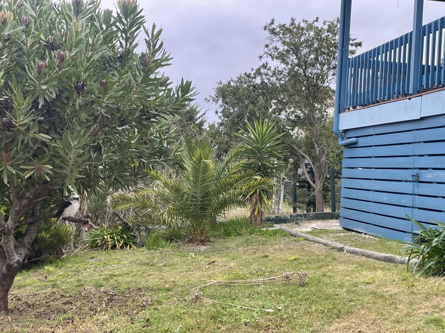 Additional image 18 of 105 Toorak Avenue, Loch Sport VIC 3851