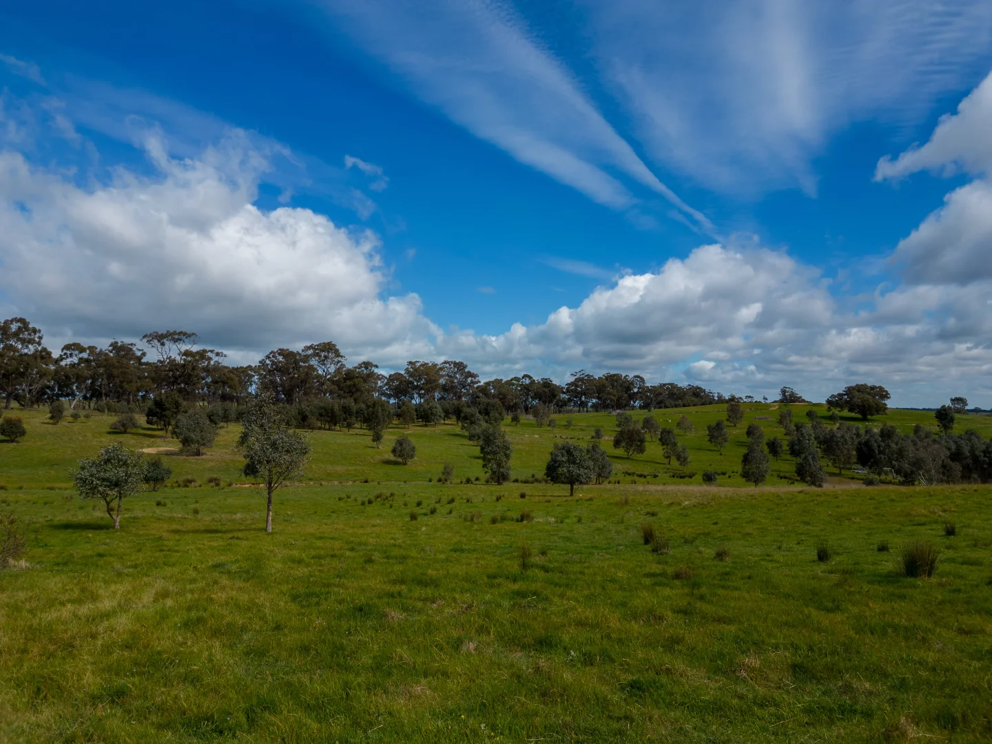 Additional image 7 of 574 Mia Mia Derrinal Road, Heathcote VIC 3523