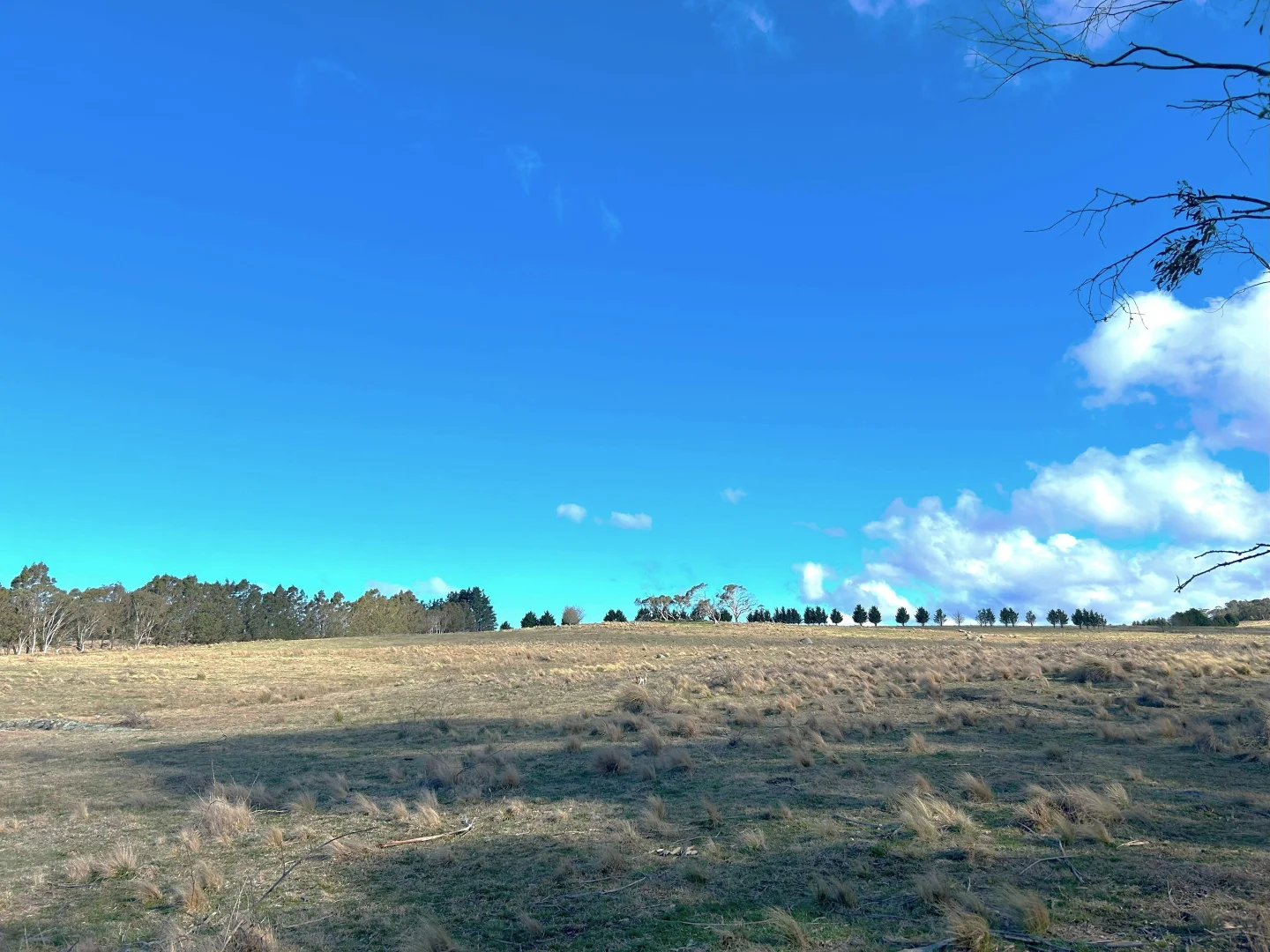 Additional image 21 of 11 & 128 Stoney Ridge Road, Braidwood NSW 2622