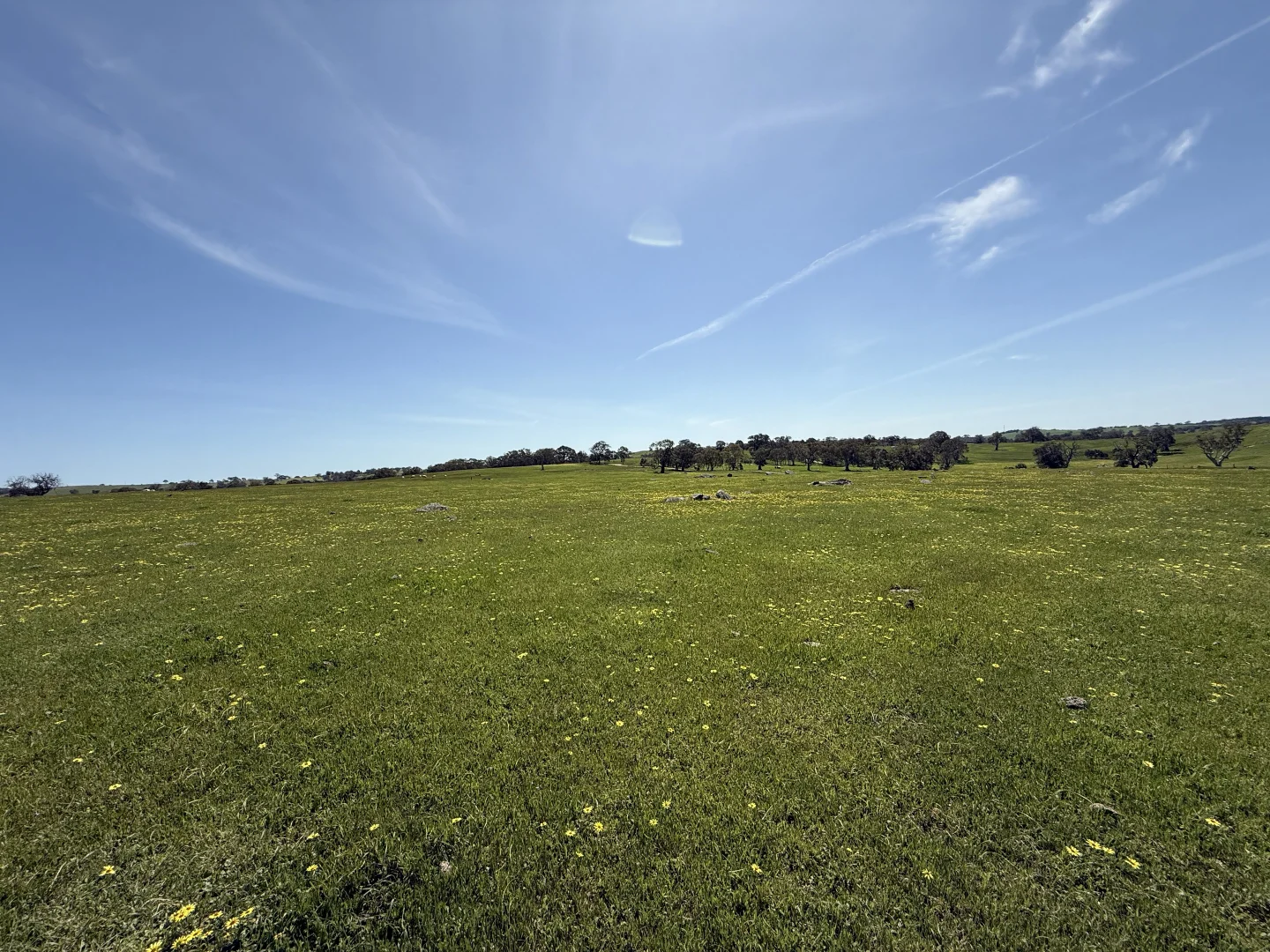 Additional image 14 of Lot 115 Mcgormans Road, Tungkillo SA 5236