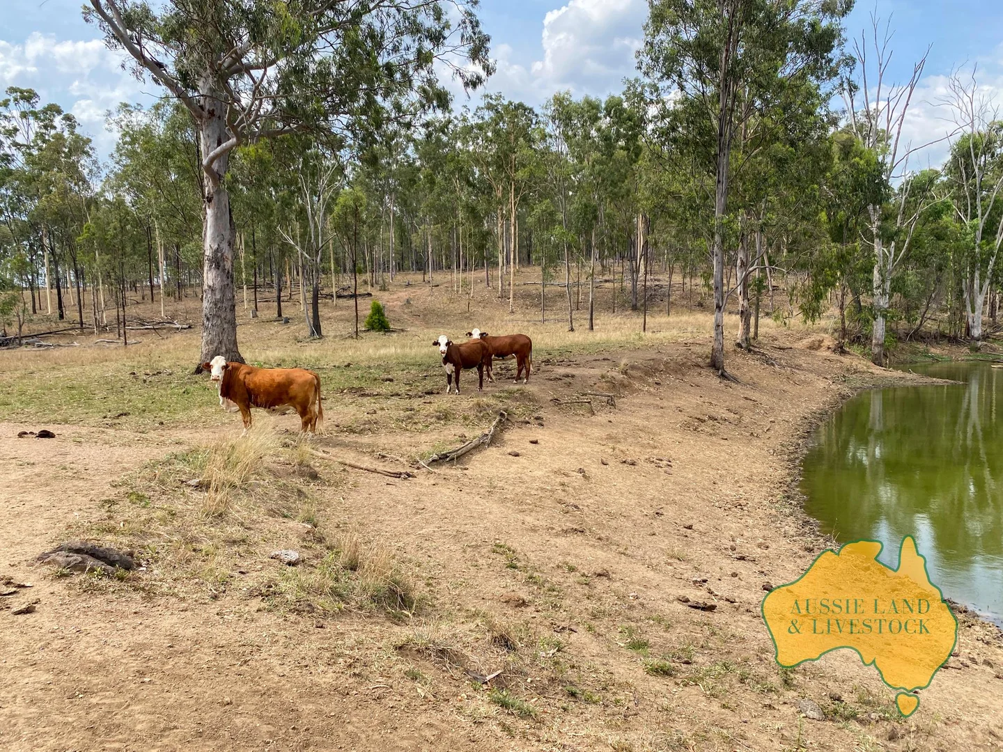 Additional image 9 of 95 Monto Mount Perry Road, Tellebang QLD 4630