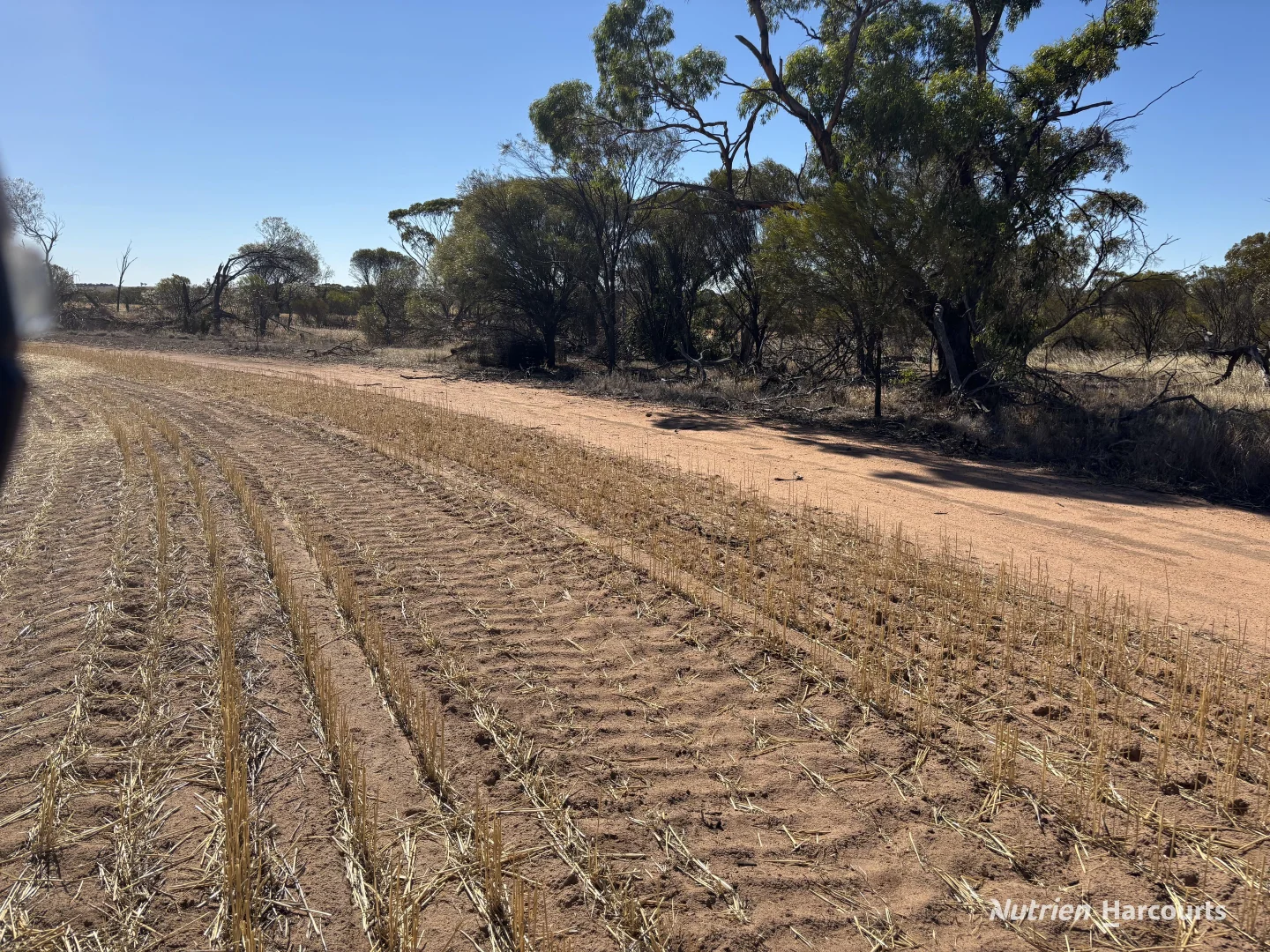 Additional image 18 of . 'Scotts', Yelbeni WA 6487