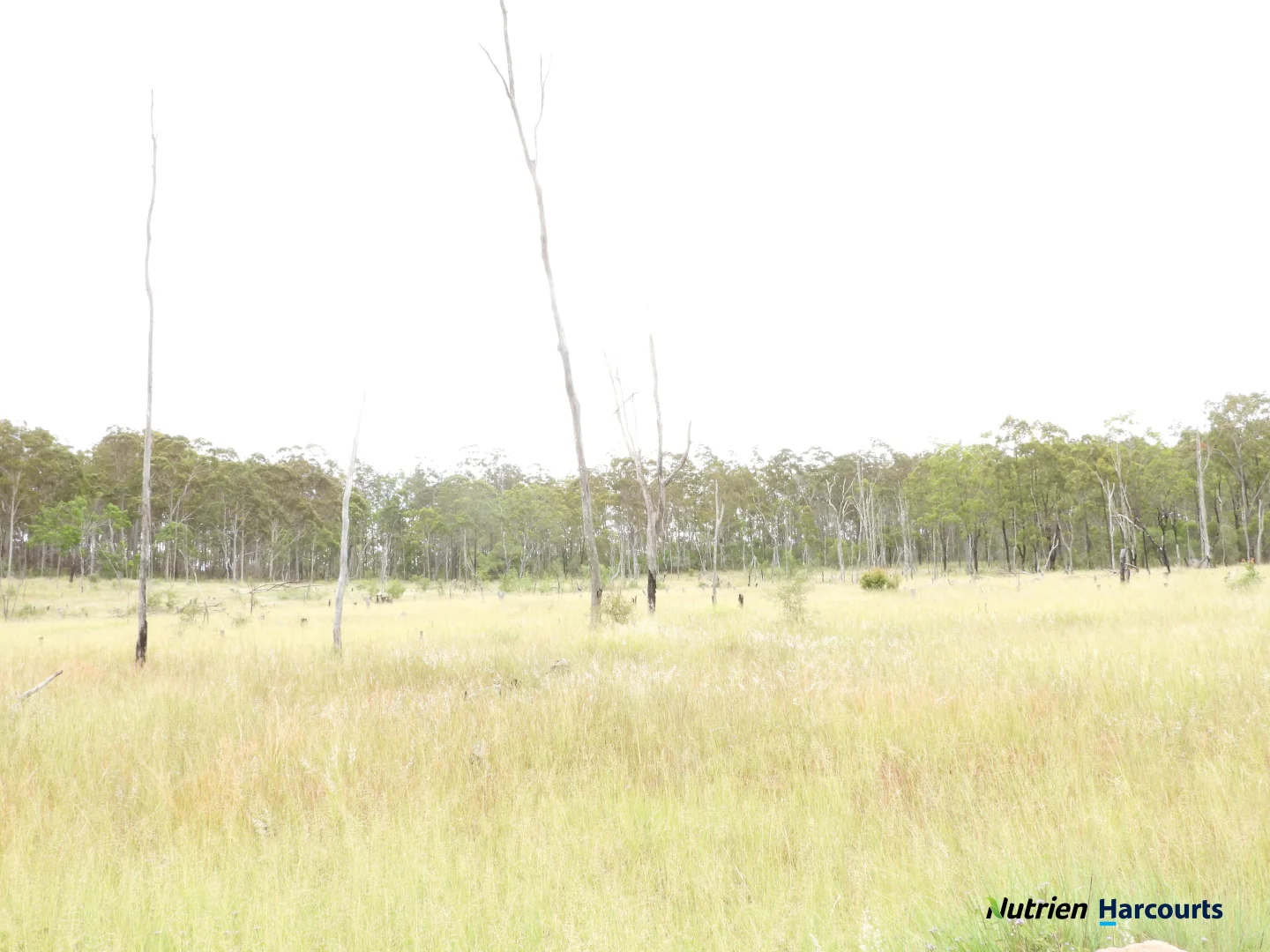 Additional image 27 of 754 Pedersens Road, Dangore QLD 4610