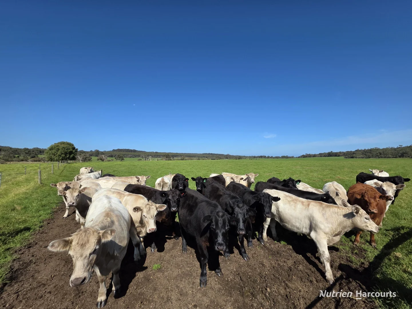 Additional image 13 of 60 Skippings Road, Kordabup WA 6333