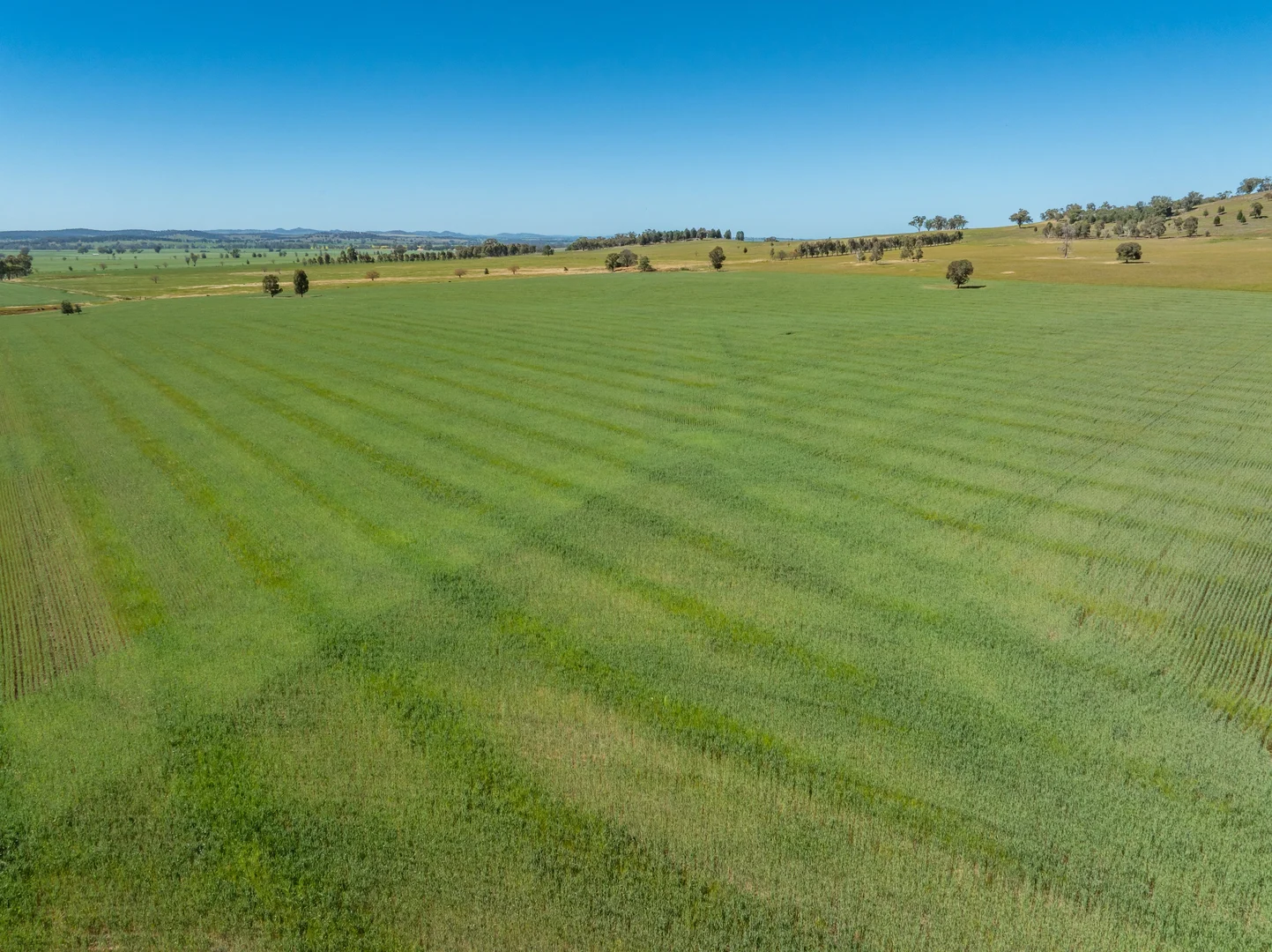 Additional image 42 of 92 Campbells Lane, Canowindra NSW 2804