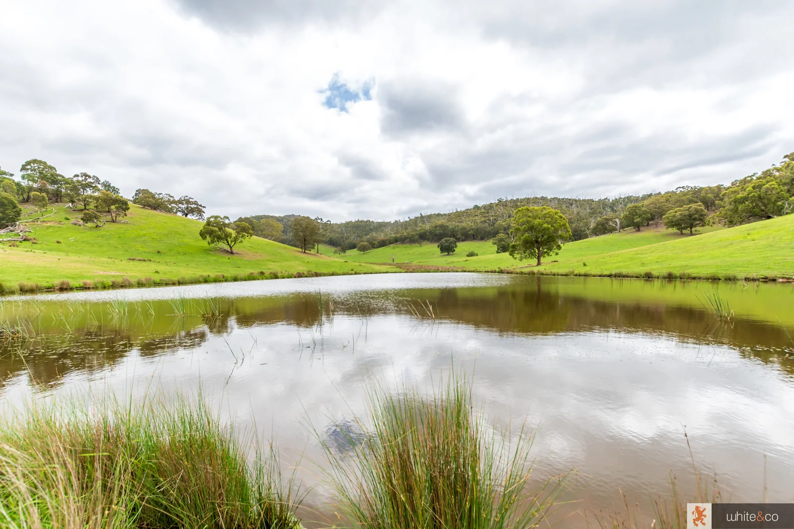 Additional image 14 of 1, 2 & 3/170 Dalls Road, Whittlesea VIC 3757