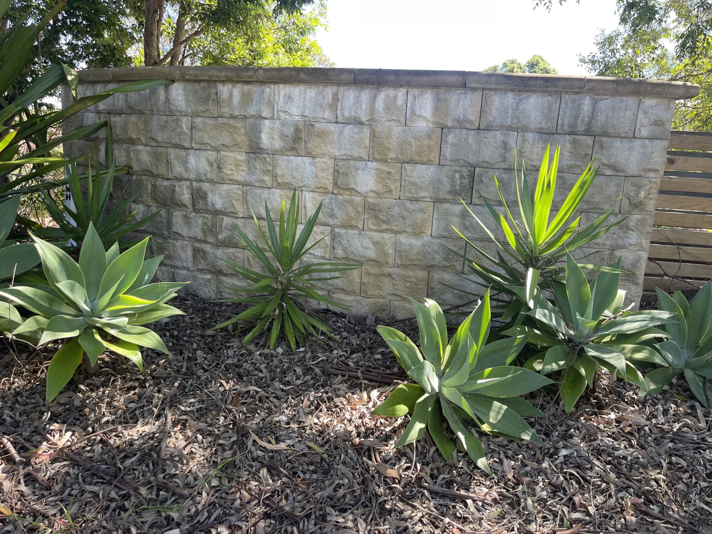 Additional image 10 of 1 Golden Wattle Way, Tallwoods Village NSW 2430