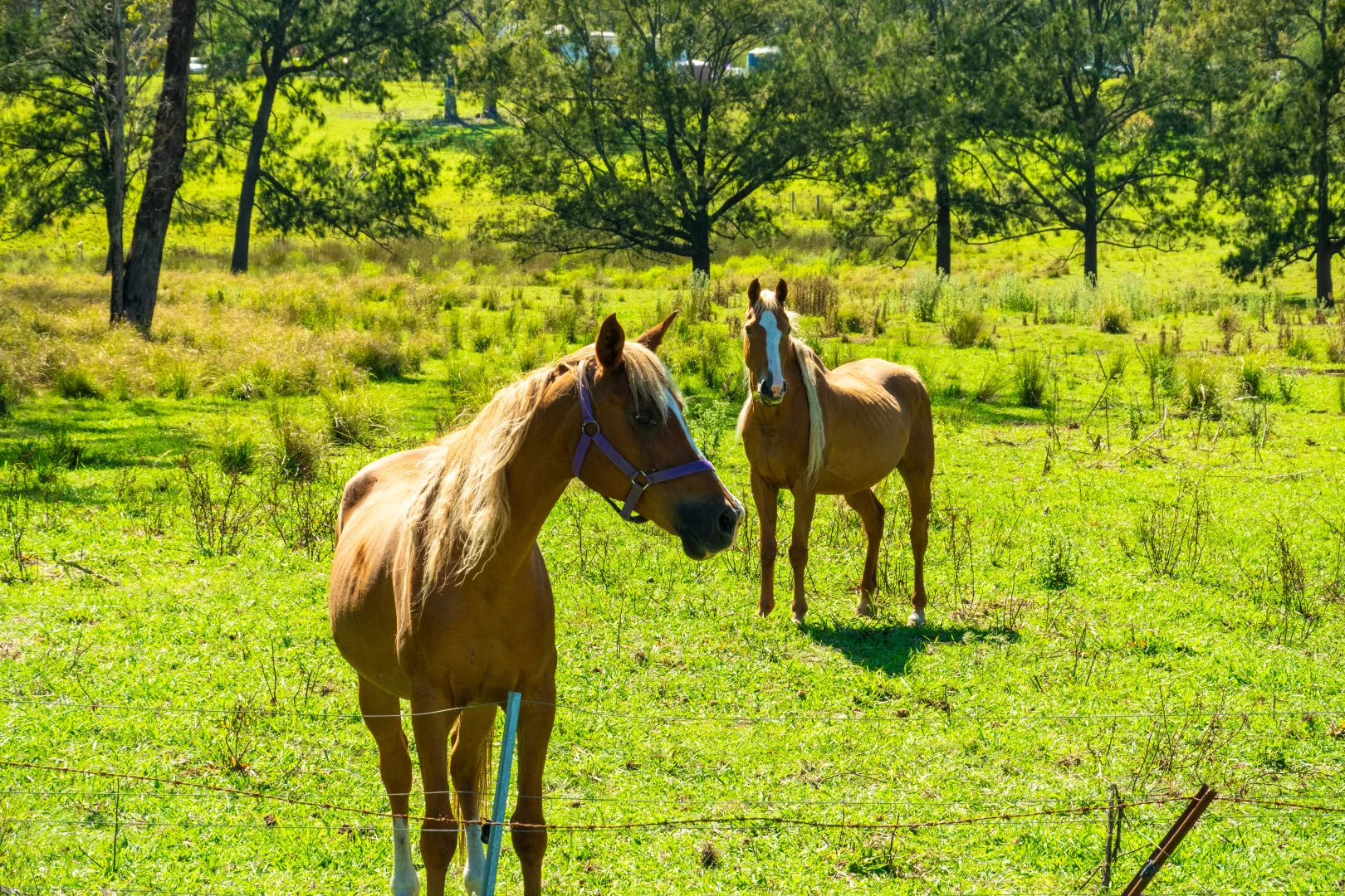 Additional image 28 of 18 Waincourt Road, Eurobodalla NSW 2545