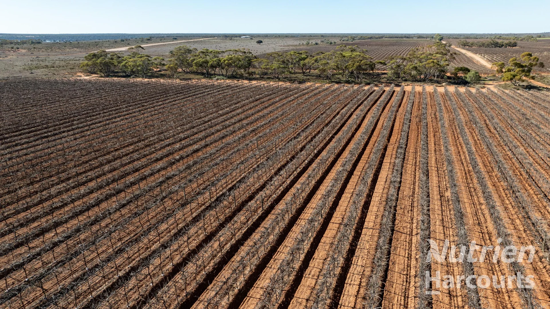 Additional image 16 of 126 Riverboat Road, Cadell SA 5321