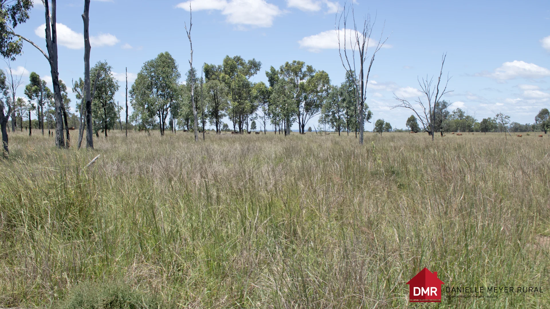 Additional image 49 of 8 Screening Plant Road, Cynthia QLD 4627