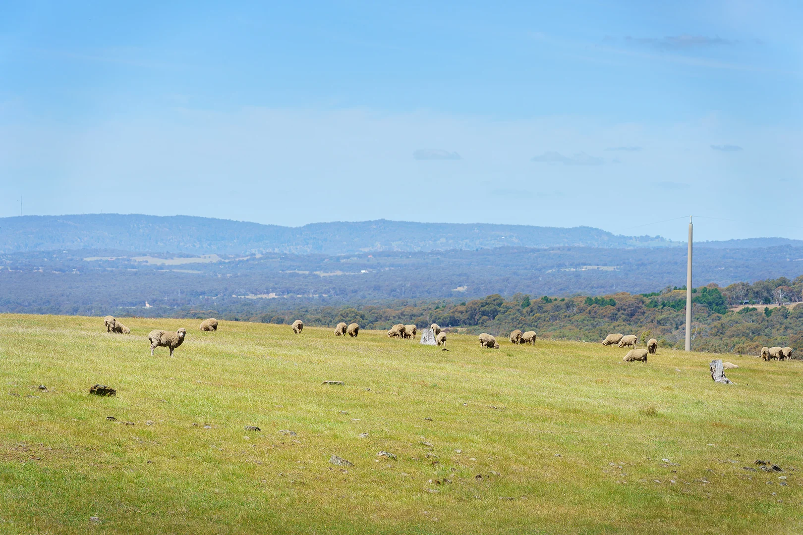 Additional image 15 of 186 Bells Reef Road, Maldon VIC 3463