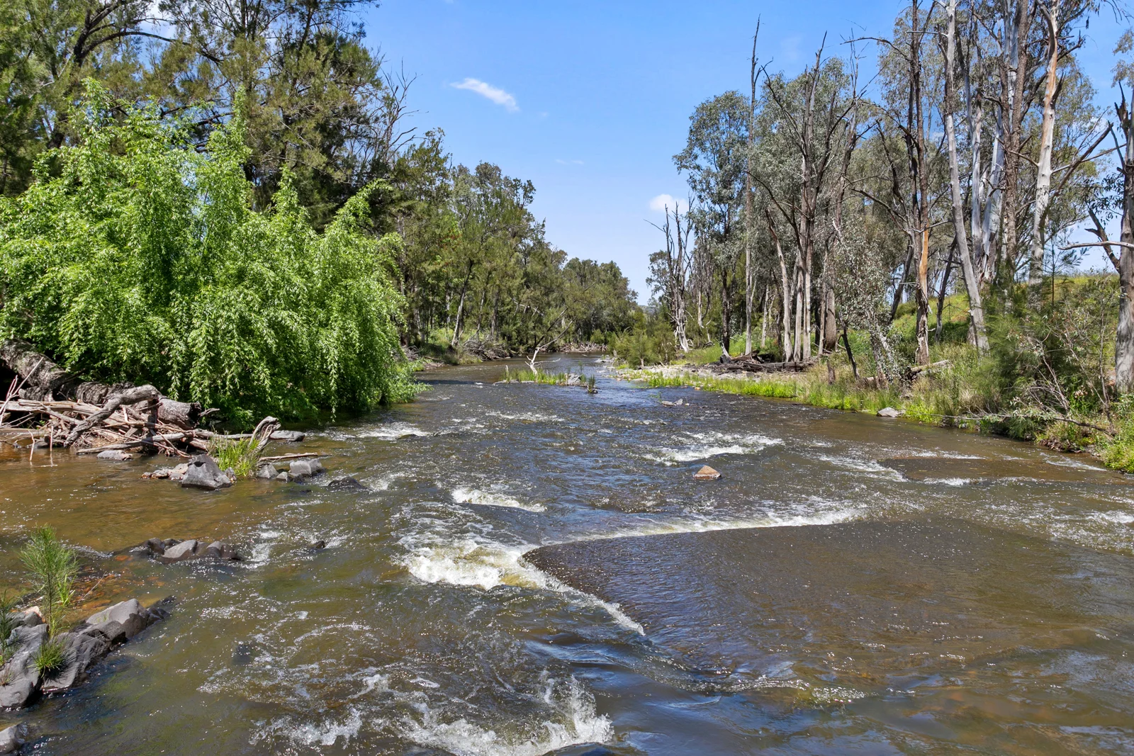 Additional image 11 of "Riverside" 826 Wittagoona Road, Halls Creek NSW 2346