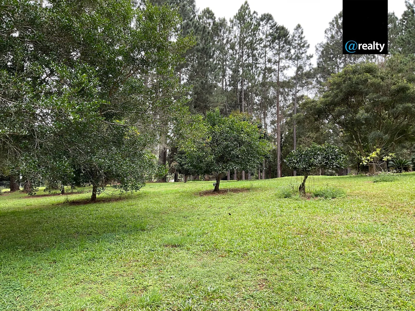 Additional image 58 of 6 South Arm Close, Ravenshoe QLD 4888